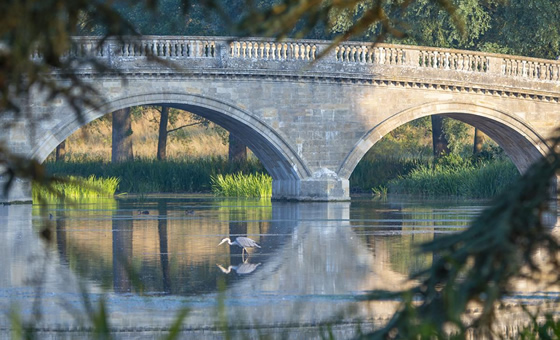 Blenheim Palace
