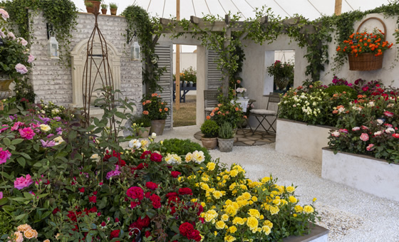 Hampton Court Flower Show