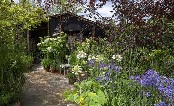 Hampton Court Flower Show