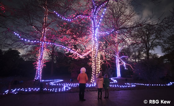 Kew Gardens