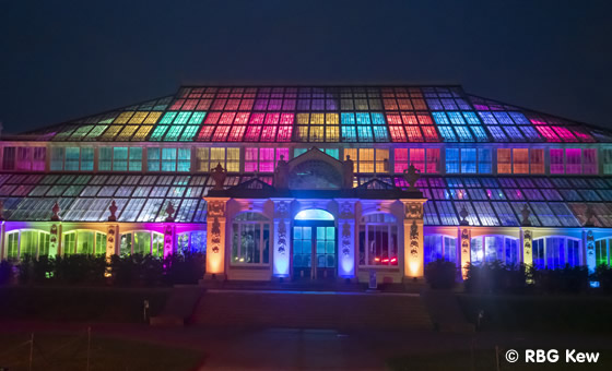 Kew Gardens
