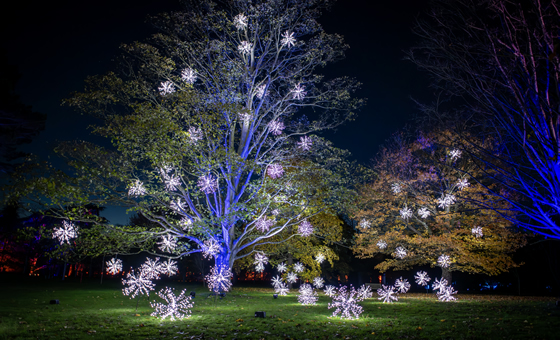 Kew Gardens