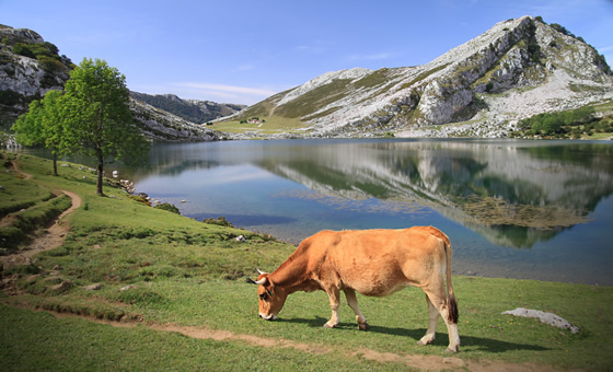 Picos Mountains