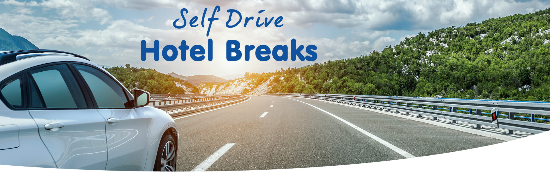 Self Drive